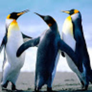 Meet your Posher, Christopher